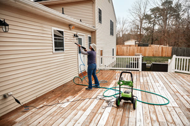 Best Deck Cleaning Services  in Deerfield, MI